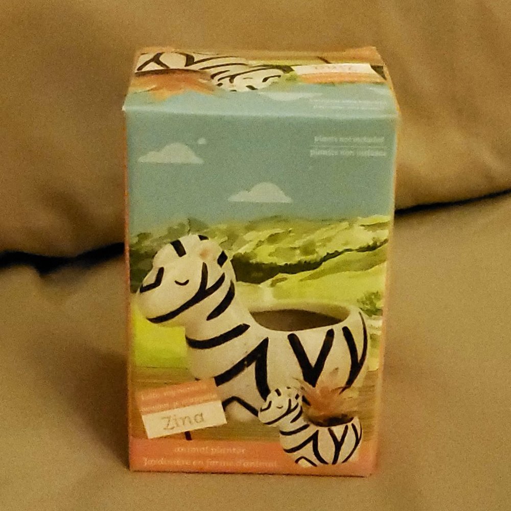 Zebra Plant Pot, Ceramic Animal Planter for Succulents or Air Plants - Picture 3 of 7